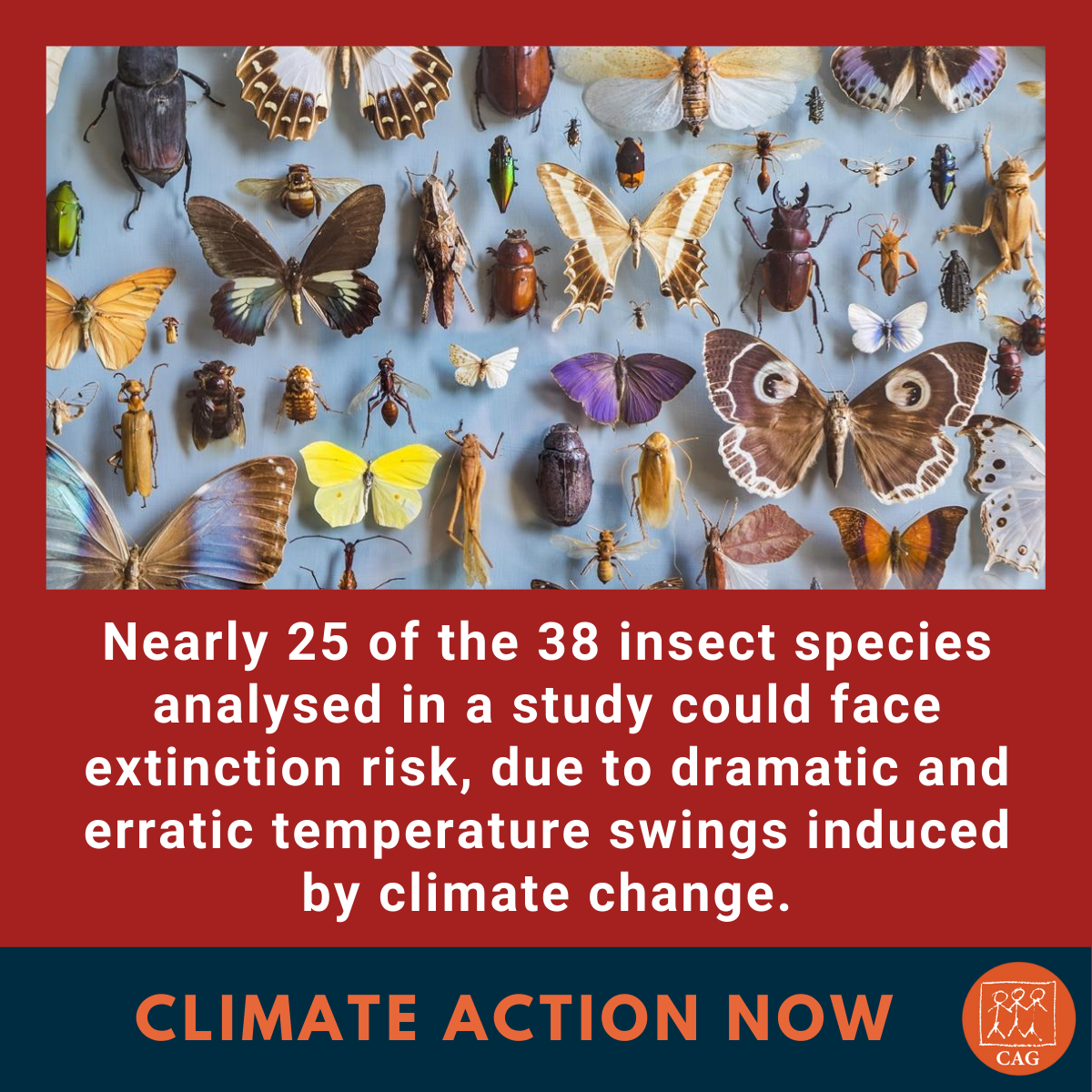 Climate Change and Biodiversity Loss - Featured Image